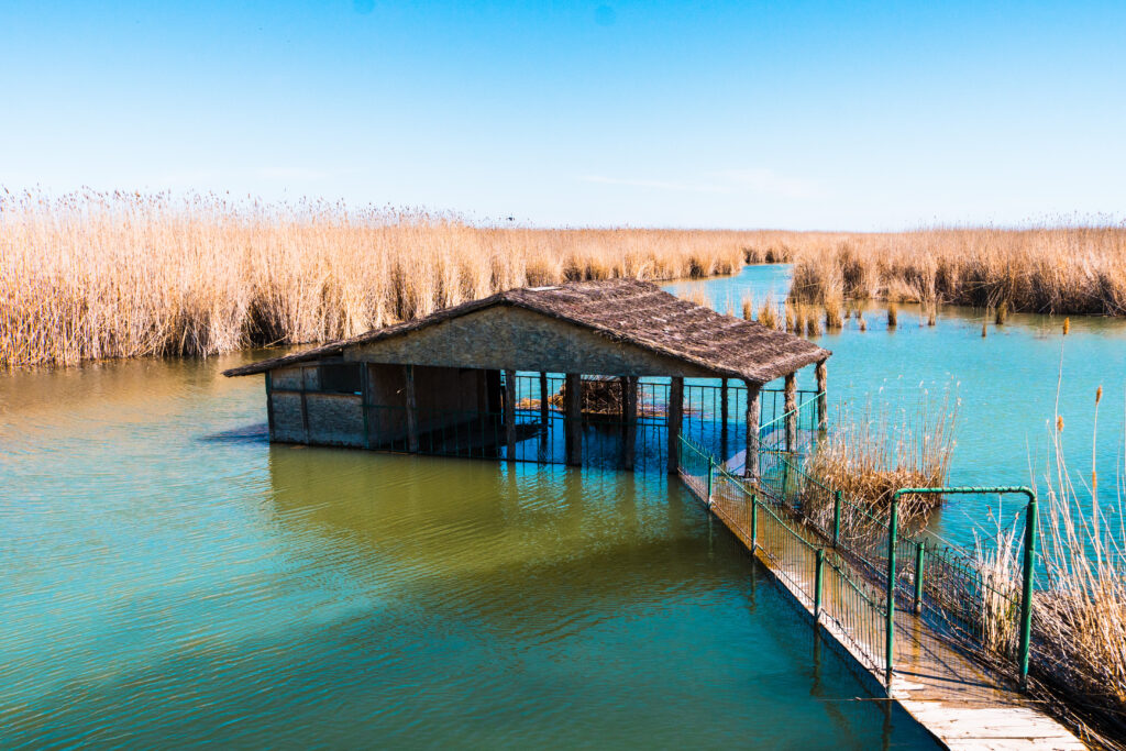 flood restoration