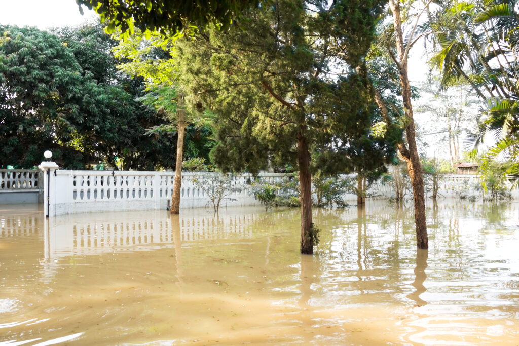 flood restoration
